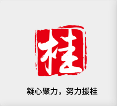 聚焦产业，努力援桂